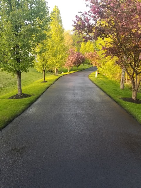 A newly seal-coated, scenic lane through a park in autumn.